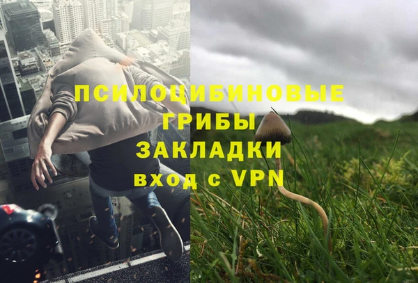 индика Вязьма