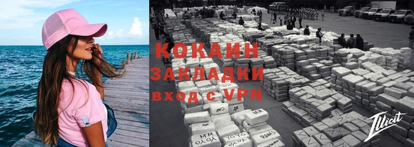 индика Вязьма