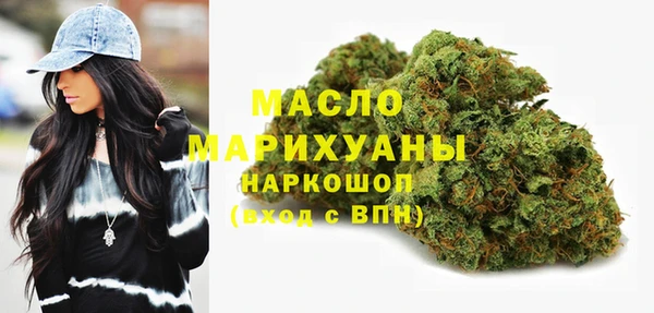 индика Вязьма