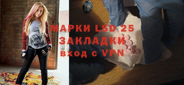 индика Вязьма