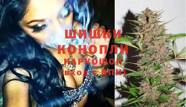 индика Вязьма