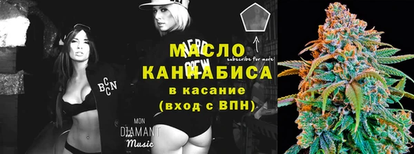 индика Вязьма