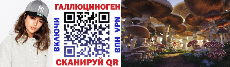 купить наркотики цена  Минеральные Воды  МЕГА зеркало  Псилоцибиновые грибы Cubensis 