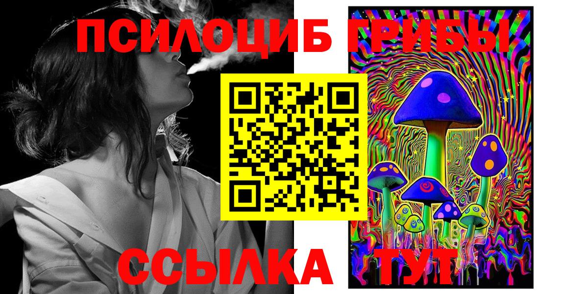 Псилоцибиновые грибы мицелий Минеральные Воды