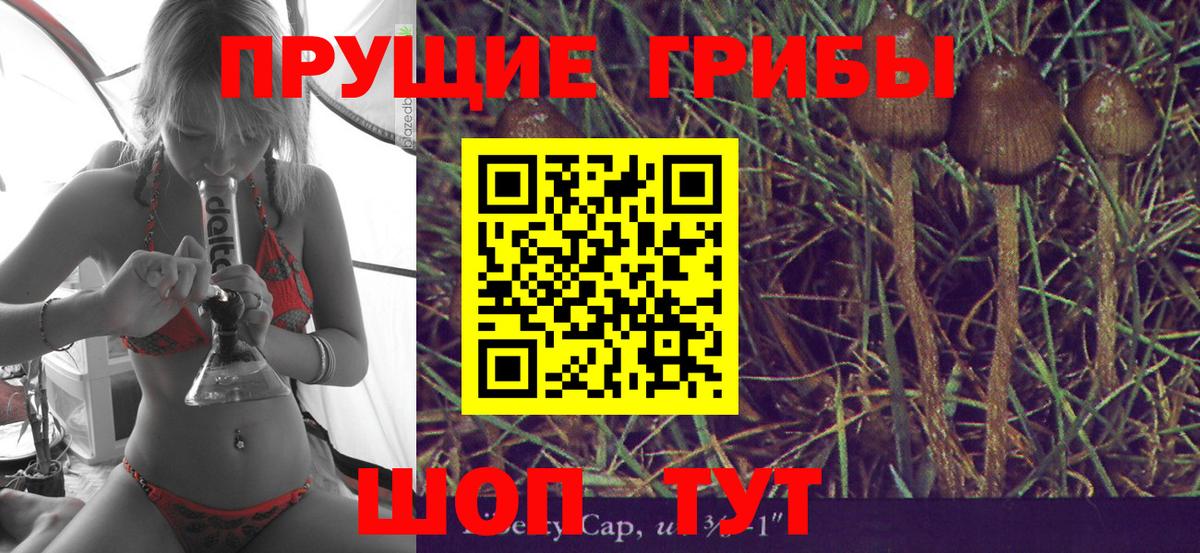 где продают   Минеральные Воды  Галлюциногенные грибы Psilocybe 