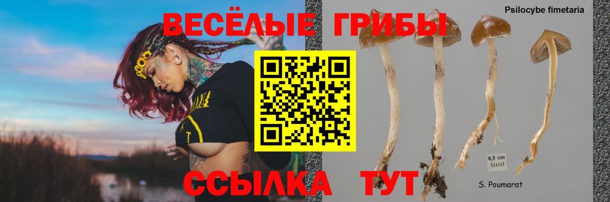 Минеральные Воды  где купить   Вход с VPN  Галлюциногенные грибы мухоморы 